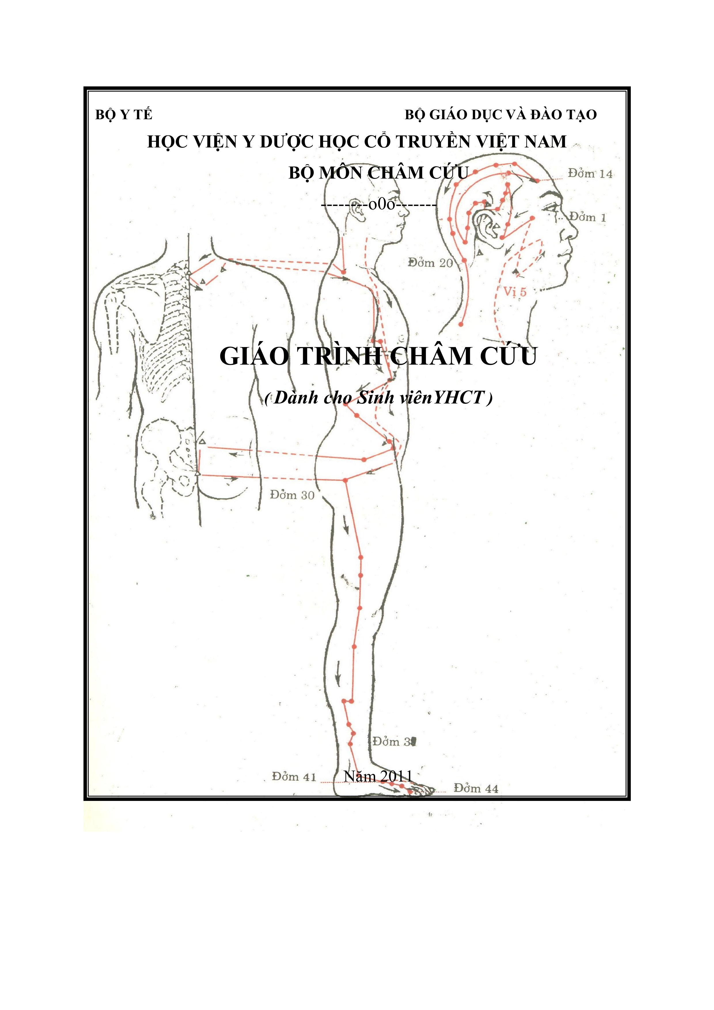 Giáo trình châm cứu