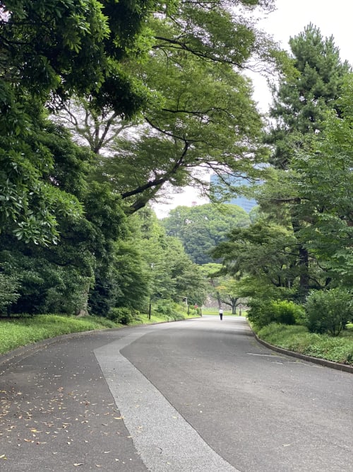 山下通り