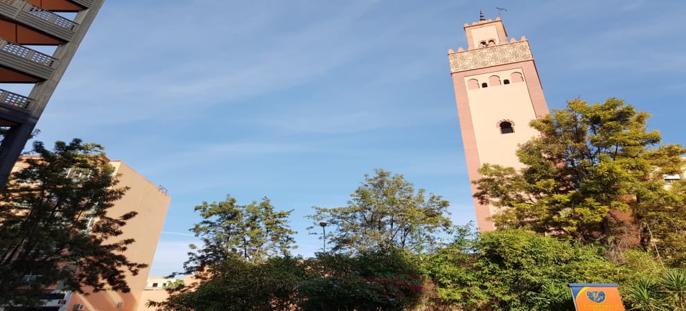 مسجد تركيا