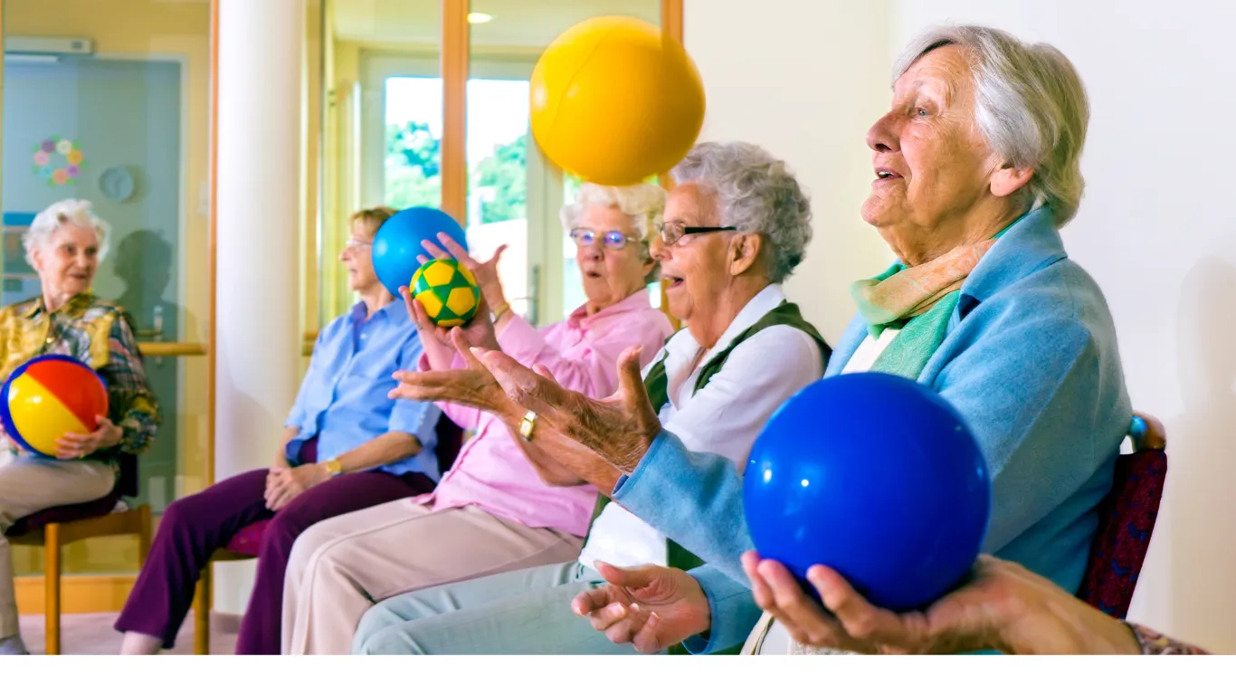 Understanding Medicare Options for Seniors