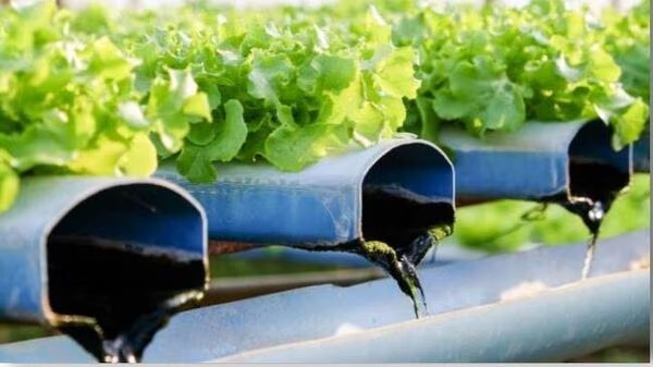 Upcoming IPO: VL Infraprojects Receives NSE Approval for SME IPO