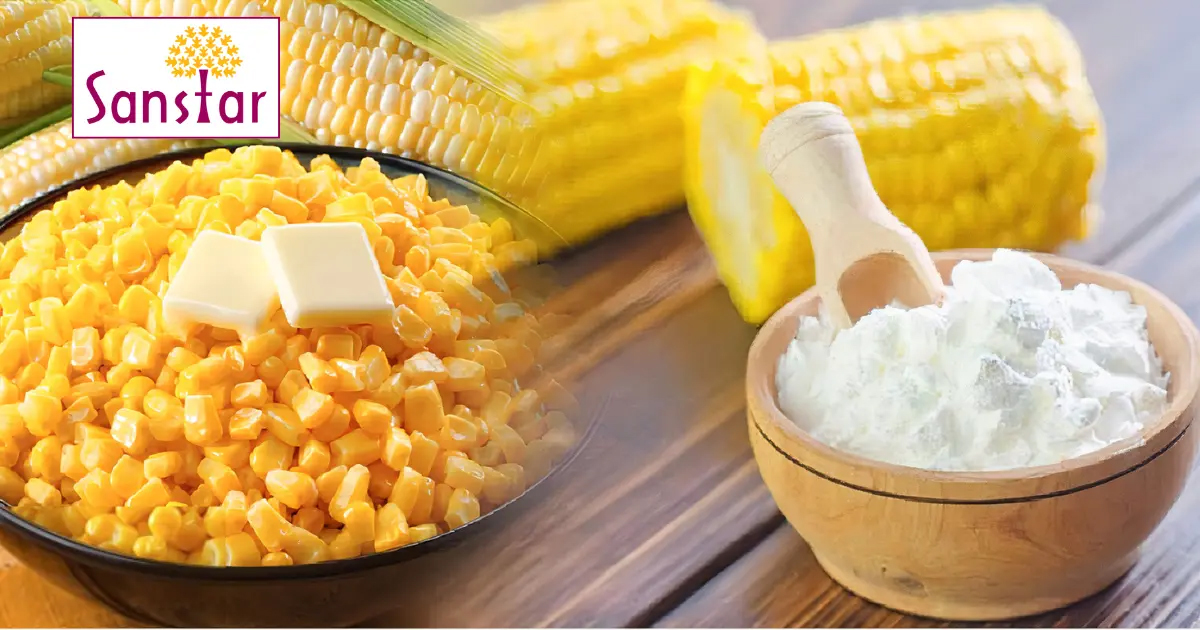 Sanstar IPO to Open for Subscription on July 19; Price Band Set at ₹90-95 per Share