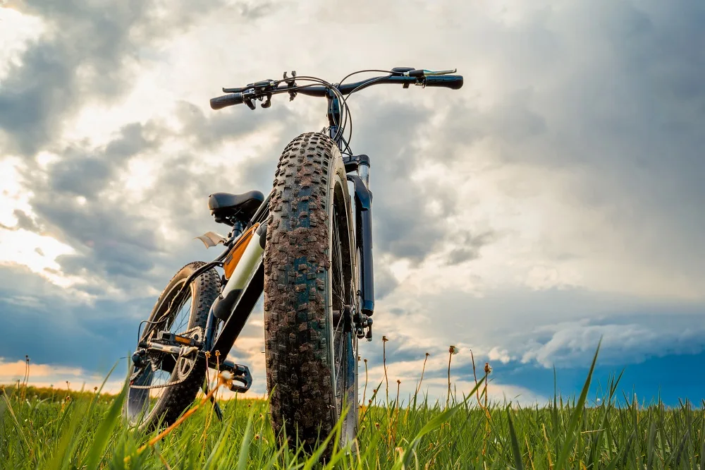 Groot leerling visie Te koop: Producent kettingloze e-fatbike | Brookz®