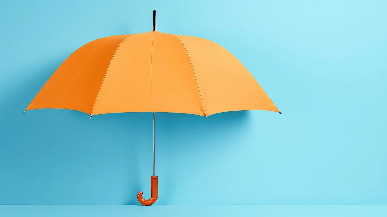 Een warranty & indemnity-verzekering (W&I-verzekering) is een instrument dat steeds vaker wordt gebruikt in de Nederlandse fusie- en overnamemarkt.
