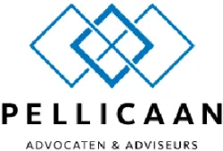 Pellicaan Advocaten heeft ruime ervaring met fusies, overnames, participaties en joint-ventures. Pellicaan staat u bij op efficiënte wijze.
