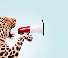 In een MBI-traject vormt de persoon het uitgangspunt, het is belangrijk om juist aan het begin van de zoektocht hierbij stil te staan.