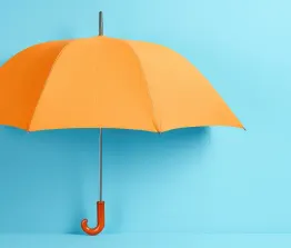 Een warranty & indemnity-verzekering (W&I-verzekering) is een instrument dat steeds vaker wordt gebruikt in de Nederlandse fusie- en overnamemarkt.