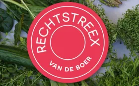 Rechtstreex haalt investering op via crowdfunding