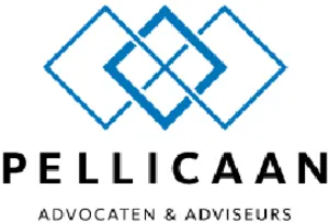 Pellicaan Advocaten heeft ruime ervaring met fusies, overnames, participaties en joint-ventures. Pellicaan staat u bij op efficiënte wijze.