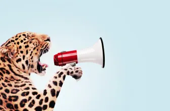 In een MBI-traject vormt de persoon het uitgangspunt, het is belangrijk om juist aan het begin van de zoektocht hierbij stil te staan.