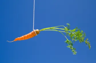 In tijden van personeelskrapte denken ondernemers erover om (talentvolle) medewerkers en managers te belonen met aandelen. Maar is dat wel zo verstandig?