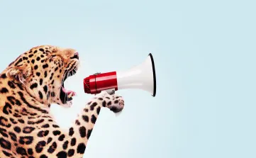 In een MBI-traject vormt de persoon het uitgangspunt, het is belangrijk om juist aan het begin van de zoektocht hierbij stil te staan.