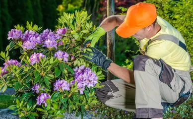 Onderneming actief in aanleg en ontwerp van tuinen en daarnaast ook verkoop spa-baden. Neem contact op via Brookz
