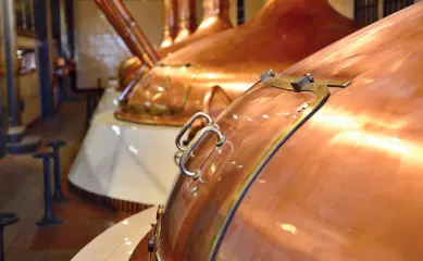 Bierbrouwerij met brouwhuis, vergisting tanks en moderne afvulmachine te Zeist ter overname aangeboden. Neem contact op via Brookz