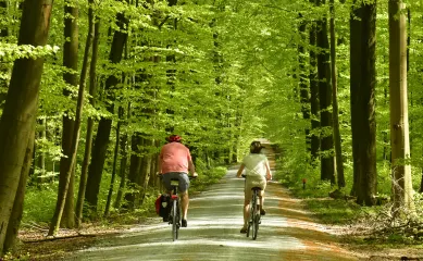 De onderneming is een veelzijdig vakantiecentrum die 35 jaar actief is in de regio, trouw klantenbestand. Neem contact op via Brookz