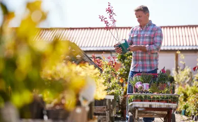 Het middelgrote en winstgevende tuincentrum is reeds meerdere decennia gevestigd op de huidige locatie. Neem contact op via Brookz