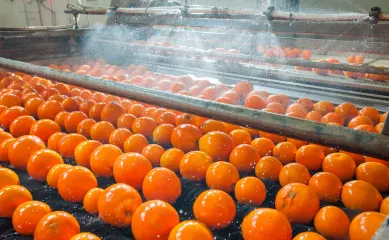 De gezochte onderneming is actief in de B2B-markt in groeten en fruit in de omgevind Westland en Venlo. Neem contact op via Brookz