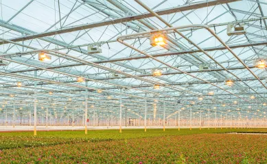 Technologieleverancier ten behoeve van de glastuinbouw met een solide bedrijfsomvang en volwassen product portfolio. Neem contact op via Brookz
