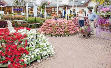 Ter overname aangeboden een kleinschalig, maar goed renderend tuincentrum in het noorden van het land.