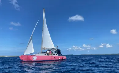 Kiteschool met alle benodigdheden op Bonaire in de baai van Kralendijk ter overname aangeboden. Neem contact op via Brookz