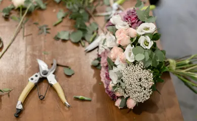 Onderneming met innovatieve oplossingen voor de bloemenindustrie. Sterke internationale reputatie door kwaliteit. Neem contact op via Brookz