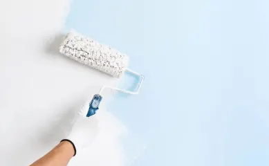 Webshop met meer dan €625.000 omzet in verf en verfbenodigdheden, vier gespecialiseerde online platforms en efficiënte back‑end, ideaal voor groei — neem contact op via Brookz.