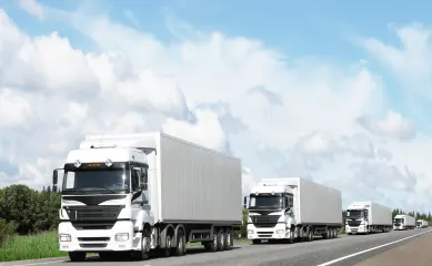 Gevestigd transportbedrijf met dienstverlening aan klanten in o.a. FR, BE, IT en LU vanuit Zuid-Nederland. Geïnteresseerd in dit verkoopprofiel?