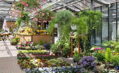 Dit groei- en tuincentrum verkoopt o.a. binnen-, buitengroen, potterie, gereedschap, tuindecoratie, verzorgingsartikelen en dierenvoeding. Geïnteresseerd?