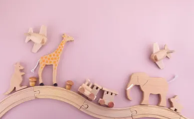 E-commerce Speelgoedbedrijf, Overname inclusief merk, webshop, voorraad en groeiplan. Neem contact op via Brookz.