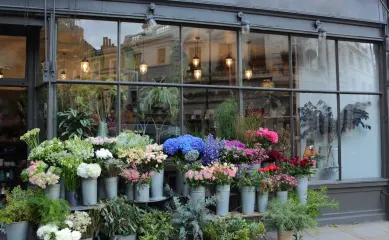 Bloemist en decoratie met €883K omzet, 45 jaar bestaande bloemenzaak met vakmanschap. Neem contact op via Brookz.