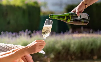 Cava-merk met voorraad en supply chain, private label (Spanje), horeca en gifting. Neem contact op via Brookz.