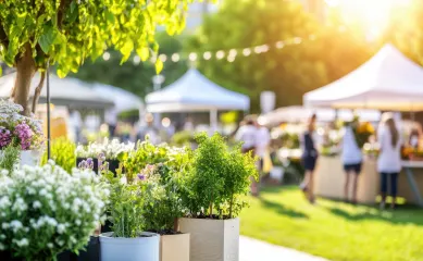 Plantenverhuur en groendecoratie met trouwe klanten. Neem contact op via Brookz.