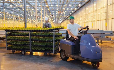 Verpakkingsbedrijf gericht op de tuinbouwsector met eigen pand en machinepark. Neem contact op via Brookz.