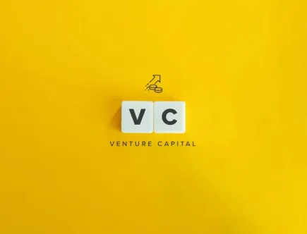 Venture capital noemen we in het Nederlands durfkapitaal. Dit fenomeen staat voor het geld dat geïnvesteerd wordt in een startend bedrijf.