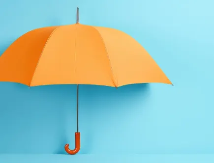 Een warranty & indemnity-verzekering (W&I-verzekering) is een instrument dat steeds vaker wordt gebruikt in de Nederlandse fusie- en overnamemarkt.