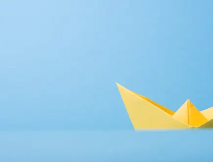 Een verkopende partij creëert met een controlled auction een competitief speelveld in een niet transparante markt.