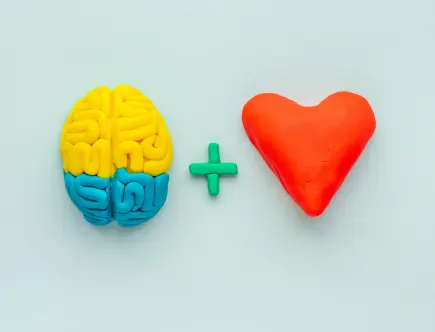 Emotie. Dat blijkt in de praktijk namelijk het belangrijkste begrip te zijn binnen bedrijfsovernames.