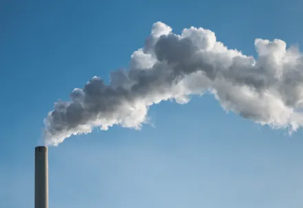 Schoorsteen- en ovenrenovatie al 45 jaar. Neem contact op via Brookz.