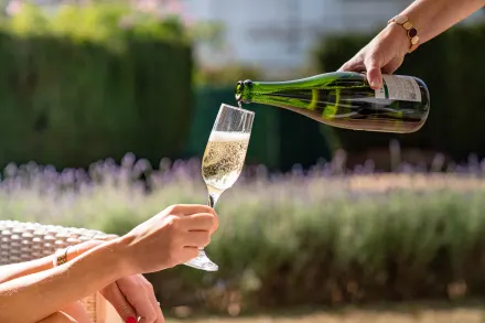 Cava-merk met voorraad en supply chain, private label (Spanje), horeca en gifting. Neem contact op via Brookz.
