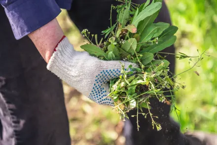 Handelsonderneming voor tuin- en straatonderhoud met gepatenteerd product. Neem contact op via Brookz.