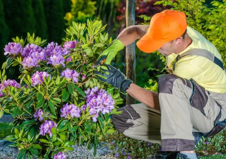 Onderneming actief in aanleg en ontwerp van tuinen en daarnaast ook verkoop spa-baden. Neem contact op via Brookz