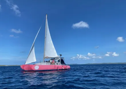 Kiteschool met alle benodigdheden op Bonaire in de baai van Kralendijk ter overname aangeboden. Neem contact op via Brookz