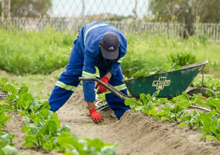 Onderneming richt zich op tuinontwerp, -aanleg en -onderhoud. Ter overname, neem contact op via Brookz