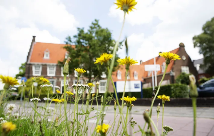 Centrum voor Bedrijfsopvolging