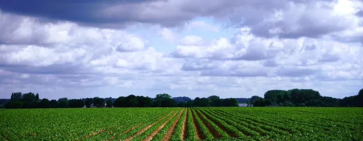 CZAV en CAV De Wieringermeer fuseren onder de naam FarmPlus