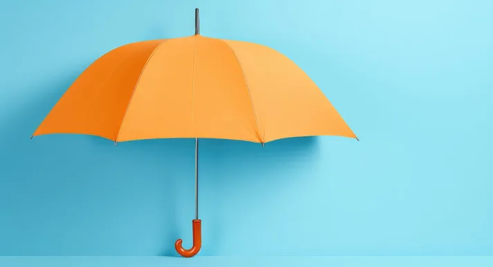 Een warranty & indemnity-verzekering (W&I-verzekering) is een instrument dat steeds vaker wordt gebruikt in de Nederlandse fusie- en overnamemarkt.