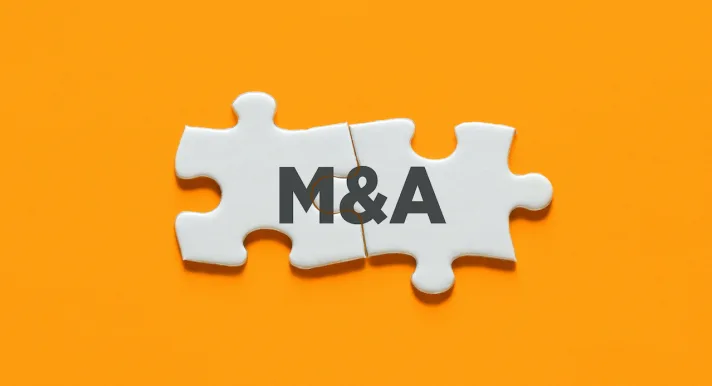 Wat is M&A (Mergers & Acquisitions / Fusies & Overnames)?