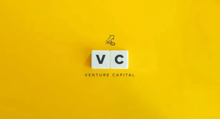 Venture capital noemen we in het Nederlands durfkapitaal. Dit fenomeen staat voor het geld dat geïnvesteerd wordt in een startend bedrijf.