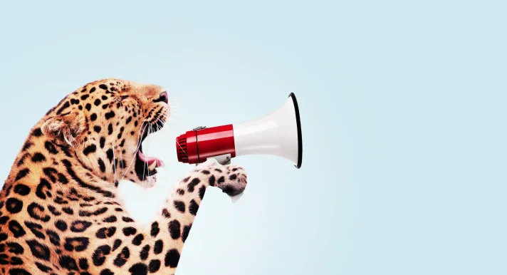 In een MBI-traject vormt de persoon het uitgangspunt, het is belangrijk om juist aan het begin van de zoektocht hierbij stil te staan.