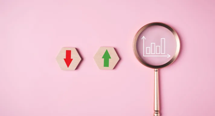 De RV kan verschillende rollen aannemen. Het is van belang dat de gekozen rol voorafgaand aan de opdracht voor alle partijen duidelijk is.